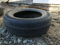 Dunlop SP 31. ������, 2011 ���, �/�, ����� 10 % ����