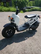 Honda Zoomer. 49����. ��., ��������, ��� ���, ��� ������� ����