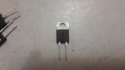 �����. ����
