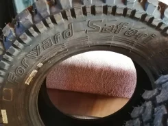 Forward Safari. ����� at, ����� ����