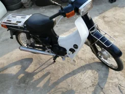 Suzuki Birdie. 49����. ��., ��������, ���������, ��� ������� ����