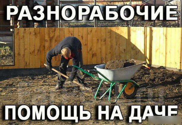Витязь авто камчатка вакансии