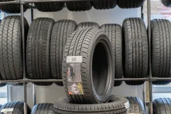 Blacklion BH15. ������, 2019 ���, ����� ����