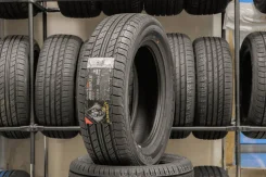 Blacklion BH15. ������, 2019 ���, ����� ����