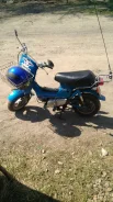 Honda Chaly. 50����. ��., ��������, ��� ���, � �������� ����
