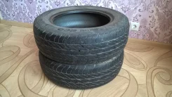 Dunlop Eco EC 201. ������, 2010 ���, �/�, ����� 40�% ����