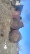 ��������. ����