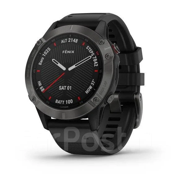 Garmin Fenix 6 ����