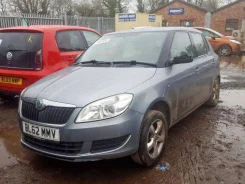 Skoda Fabia. TMBFH25J0D3098631, CGPCGPACGPB ����