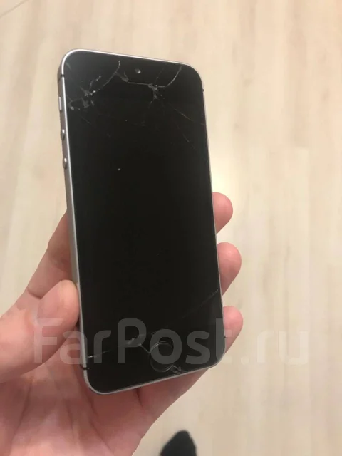 Apple iPhone 5s. �/�, ������, 4G LTE ����