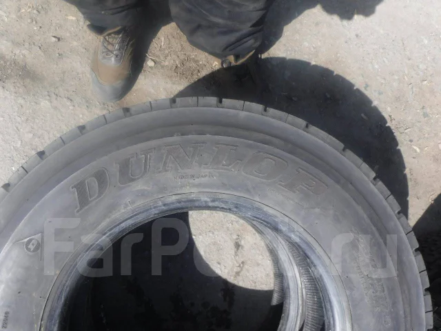Dunlop Dectes SP068. ������, ��� �����, �/�, ����� 10 %. ��� ����� �� ����������� ������ ����