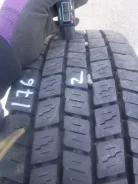 Dunlop Dectes SP068. ������, ��� �����, �/�, ����� 10�%. ��� ����� �� ����������� ������