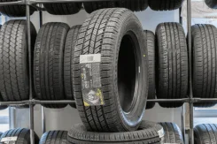 Blacklion BC86 Voracio H/T. ������, 2019 ���, ����� ����