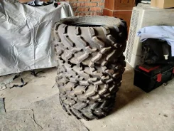 Carlisle. ����� at, �/�, ����� �� 5 % ����
