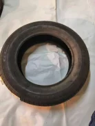 GT Radial Champiro FE1. ������, 2019 ���, �����