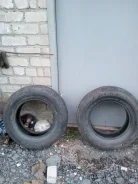 Falken Landair CT03. ������, �/�, ����� 30�%