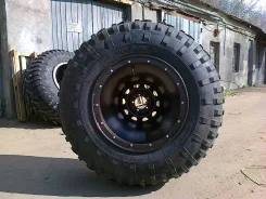 �����������. �����������, 2019 ���, ����� ����