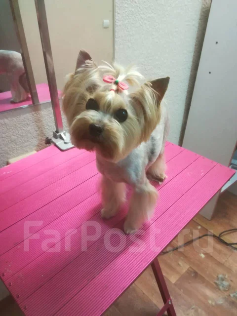 �������. ����