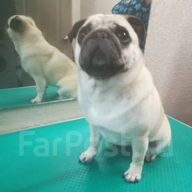 �������. ����