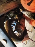Suzuki Address V110. 113����. ��., ��������, ��� ���, ������ �� �� ����
