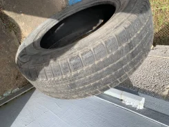 Michelin Maxi Ice. ������, ��� �����, �/�, ����� 30�% ����