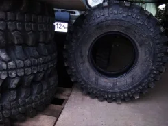 Simex. ����� mt, 2019 ���, �/�, ����� �� 5 % ����