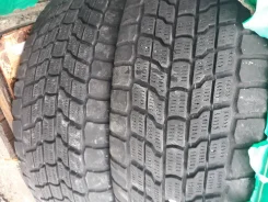 AMP. ������, ��� �����, 2017 ���, �/�, ����� 50�% ����