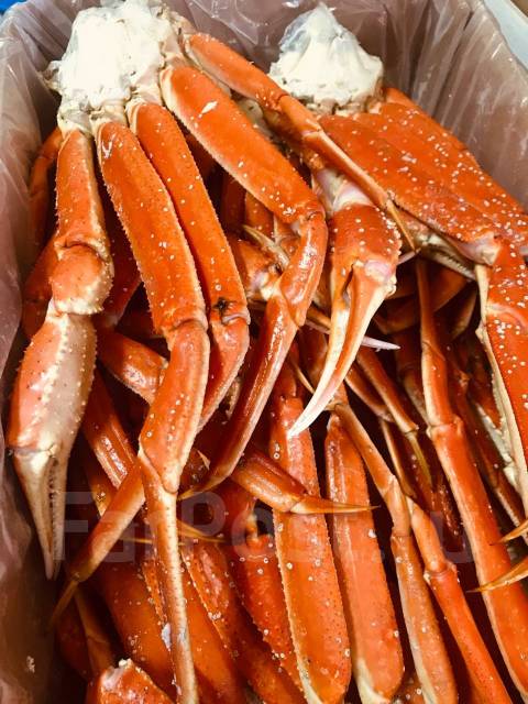 Краб Стригун парной от 18.02.2023! Полный на морской воде - Рыба и ...