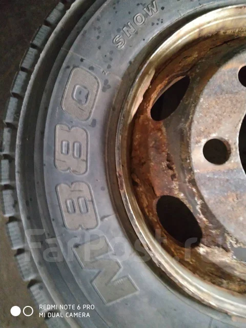 Bridgestone M800. ������, ��� �����, 2005 ���, ����� ����