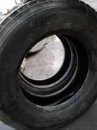 TyRex. �����������, 2019 ���, �/�, ����� 30�%