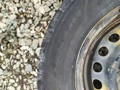 Toyo Winter Tranpath MK4. �����������, 2017 ���, �/�, ����� 10 % ����