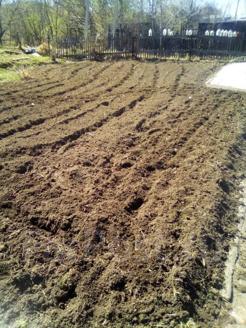 Вспашка земли вспахать культивировать огород участок грядку землю в ...