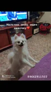 ����. ����