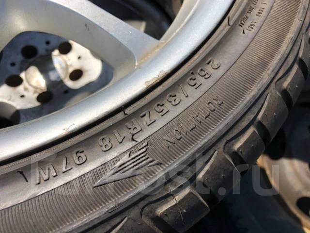 Sunew. ������, 2018 ���, ����� ����