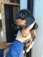 �����. ��� ����� �� ������������ ����