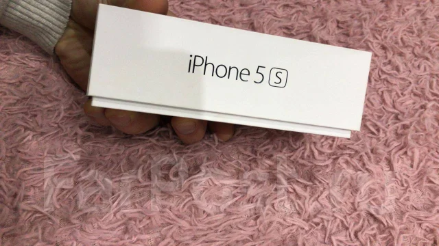 Apple iPhone 5s. �/�, ������, 3G, 4G LTE ����
