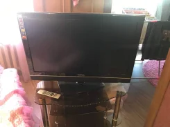 Yamaha. ������