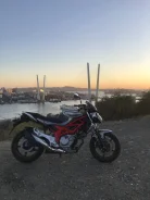 Suzuki SFV 650 Gladius. 650����. ��., ��������, ���, ��� ������� ����