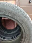 Falken Sincera SN831. ������, �/�, ����� 5�% ����