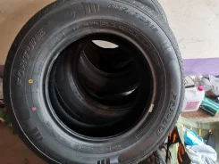 Fortune FSR-801. ������, 2020 ���, ����� ����