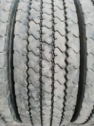 TyRex. �����������, 2019 ���, �/�, ����� 20 % ����