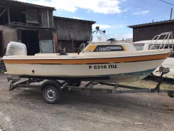 Yamaha Fish 17. ����� 5,2��., ��������� ���������, 90��.�., ������ ����