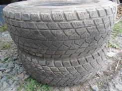 Bridgestone Winter Dueler DM-01. ������, ��� �����, �/�, ����� 40 % ����
