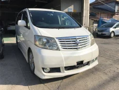Toyota Alphard. �������, 4wd, 2.4, ������, 98 000����. ��, ��� ���. ��� ����� �� ������������ ����