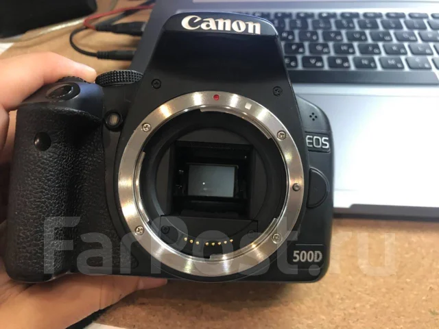 Canon EOS 500D. ���: 7� ����
