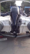 �����������. 2008 ���, ��������� ���������, 100��.�. ����