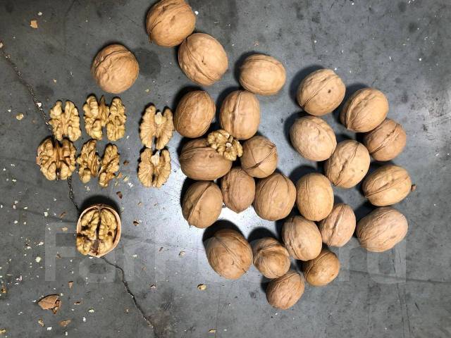 Орехи которые похожи на грецкие. Орех похожий на грецкий. Орех пекан, 500 гр. Орех пекан 1кг. Орех пекан в скорлупе.