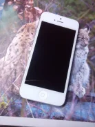 Apple iPhone 5. �/�, 16 ��, �����, 3G, 4G LTE, NFC ����
