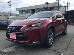Lexus NX200t. �������, ��������, 2.0 (238��.�.), ������, 4 000����. ��, �/�. ��� ����� �� ������������ ����
