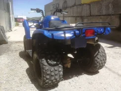 Yamaha Grizzly 250. ��������, ��� ���\���, ��. ��� ����� �� ������������ ����